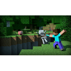 Minecraft Java & Bedrock Edition