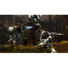 Kingdoms of Amalur: Re-Reckoning