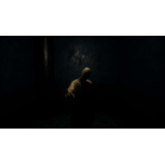 Loco Parentis / 孤女咒怨