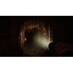 Lunacy: Saint Rhodes