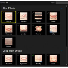MorphVOX Pro 5 - Voice Changer