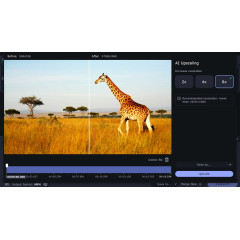 Movavi Video Suite 2023 Steam Edition - An all-in-one video maker: an editor, converter, screen recorder, and more!