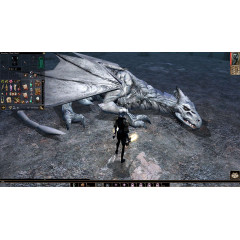 Neverwinter Nights: Enhanced Edition