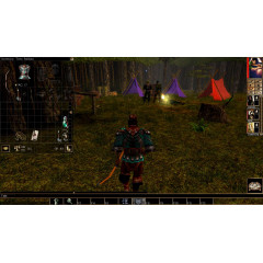 Neverwinter Nights: Wyvern Crown of Cormyr