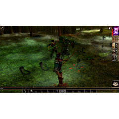 Neverwinter Nights: Wyvern Crown of Cormyr