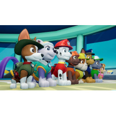 Paw Patrol: On A Roll!