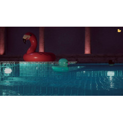 Placid Plastic Duck Simulator