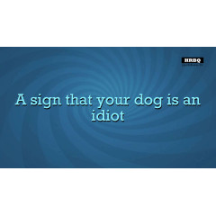 Quiplash 2 InterLASHional