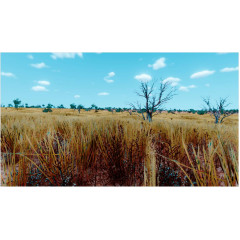 Awesome Metal Detecting