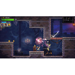 Rogue Legacy 2