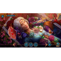 Королевские Романы: Запретная магия Коллекционное издание