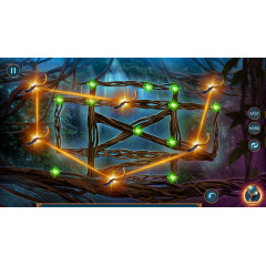 Королевские Романы: Запретная магия Коллекционное издание