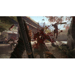 Shadow Warrior 2