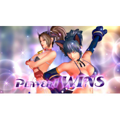 SNK HEROINES Tag Team Frenzy
