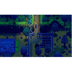 Stardew Valley