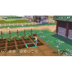 STORY OF SEASONS: A Wonderful Life