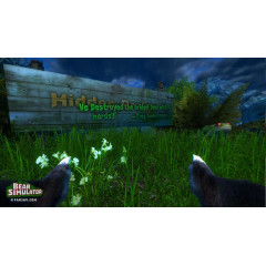 Bear Simulator