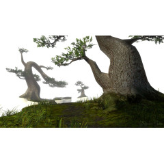 The Beginner's Guide