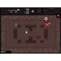 The Binding of Isaac