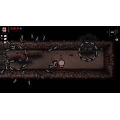 The Binding of Isaac: Afterbirth