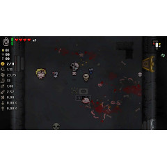 The Binding of Isaac: Afterbirth+