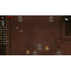 The Binding of Isaac: Afterbirth+