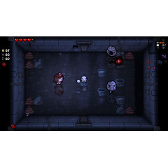 The Binding of Isaac: Repentance