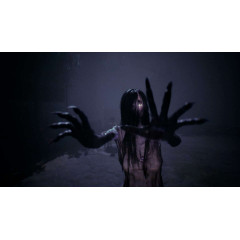 The Bridge Curse Road to Salvation