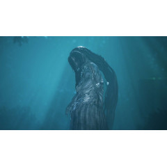 The Bridge Curse Road to Salvation