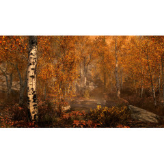 The Elder Scrolls V: Skyrim Special Edition