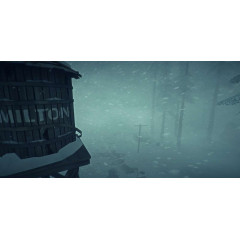 The Long Dark