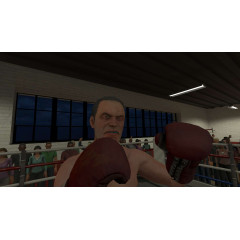 The Thrill of the Fight - VR Boxing