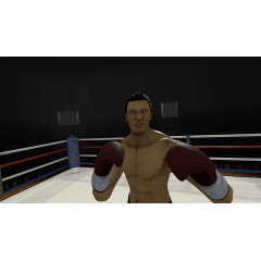 The Thrill of the Fight - VR Boxing