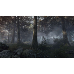 The Vanishing of Ethan Carter VR