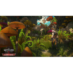 The Witcher 3: Wild Hunt - Expansion Pass