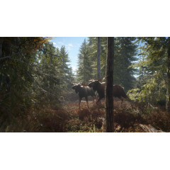 theHunter: Call of the Wild™