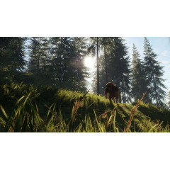 theHunter: Call of the Wild™ - Bloodhound