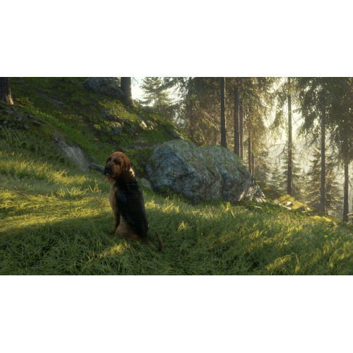 theHunter: Call of the Wild™ - Bloodhound