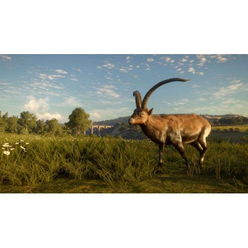 theHunter: Call of the Wild™ - Cuatro Colinas Game Reserve