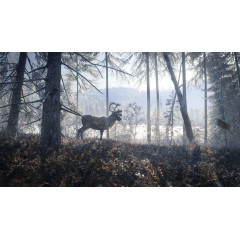 theHunter: Call of the Wild™ - Medved-Taiga