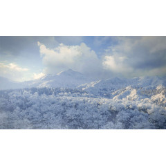 theHunter: Call of the Wild™ - Medved-Taiga