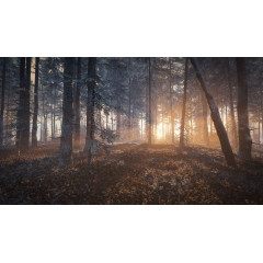 theHunter: Call of the Wild™ - Medved-Taiga