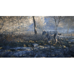 theHunter: Call of the Wild™ - Medved-Taiga