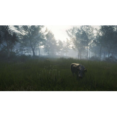 theHunter: Call of the Wild™ - Te Awaroa National Park
