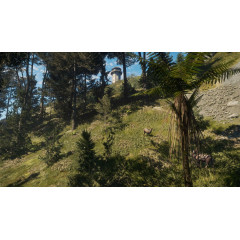 theHunter: Call of the Wild™ - Te Awaroa National Park