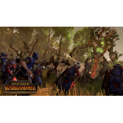 Total War: WARHAMMER - Realm of The Wood Elves
