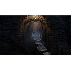 Warhammer: End Times - Vermintide Collector's Edition Upgrade