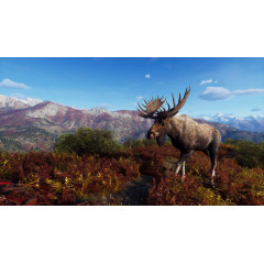 Way of the Hunter - Aurora Shores