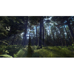 Way of the Hunter - Aurora Shores