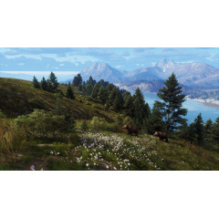 Way of the Hunter - Aurora Shores